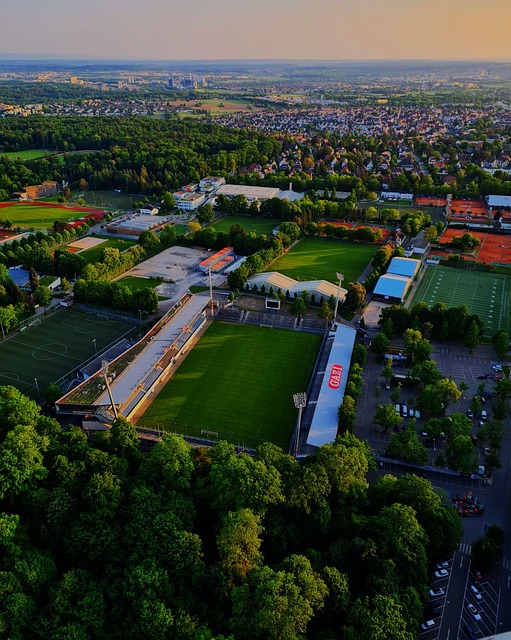 而就在众多 而就在众多