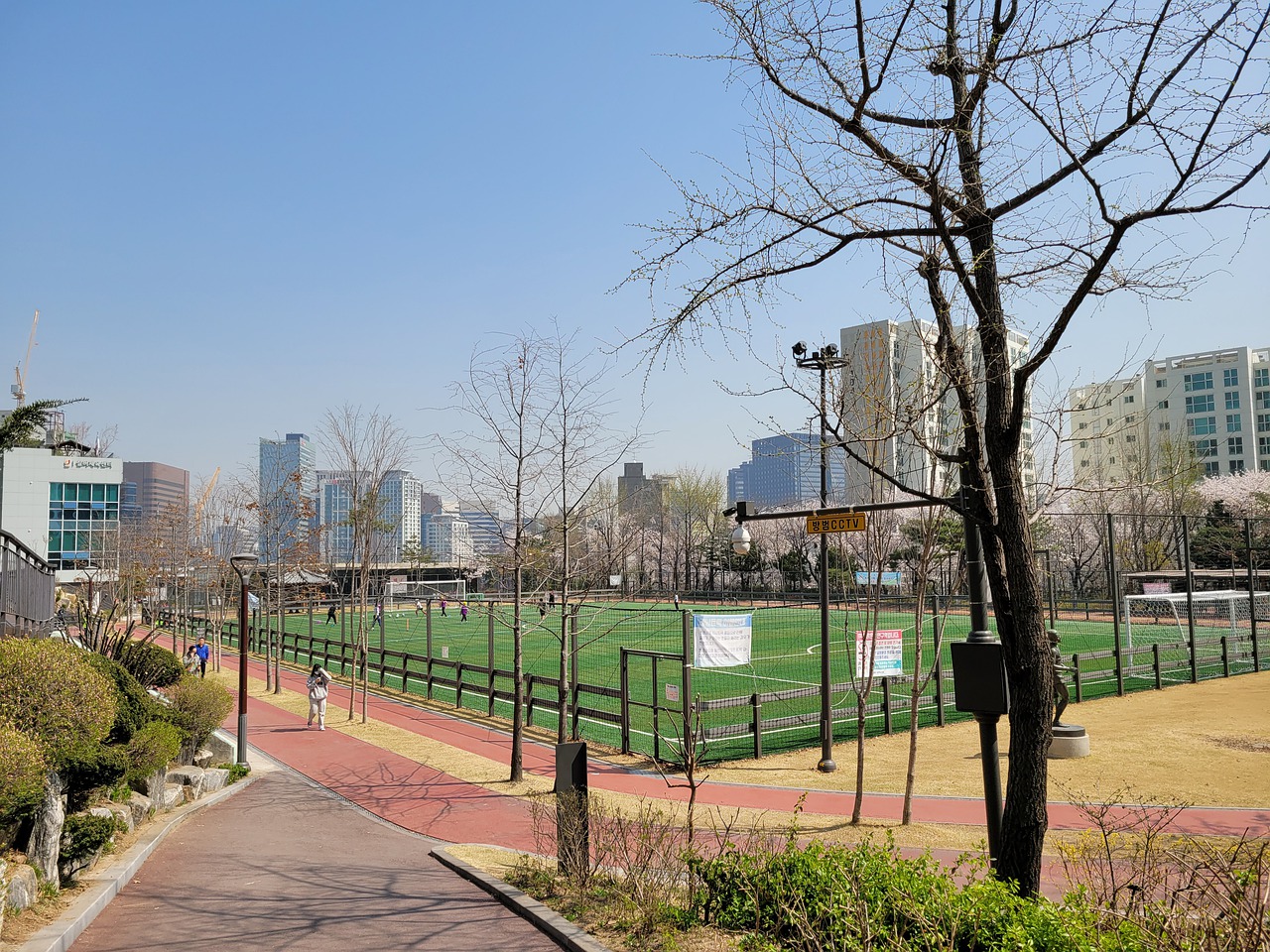 球都坚定地 球都坚定地