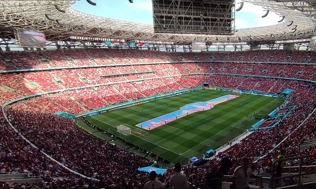 在培养这些 在培养这些