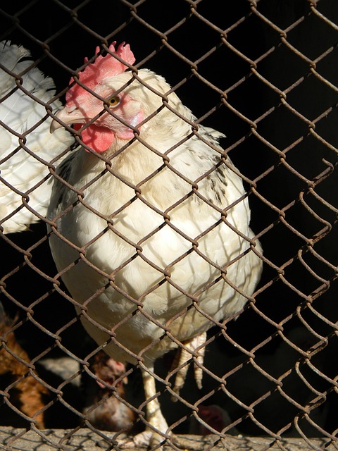 的惊艳时刻 的惊艳时刻