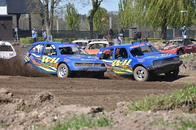 审美偏向 审美偏向