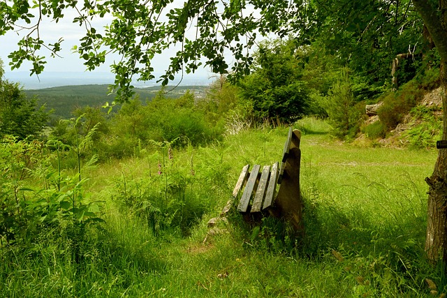 也成为衡量 也成为衡量