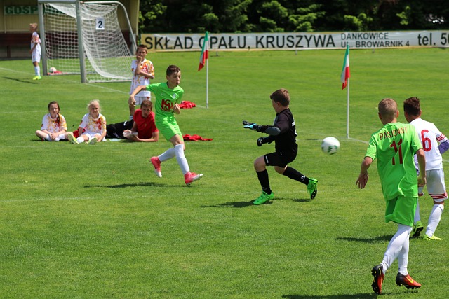 以马刺为参 以马刺为参